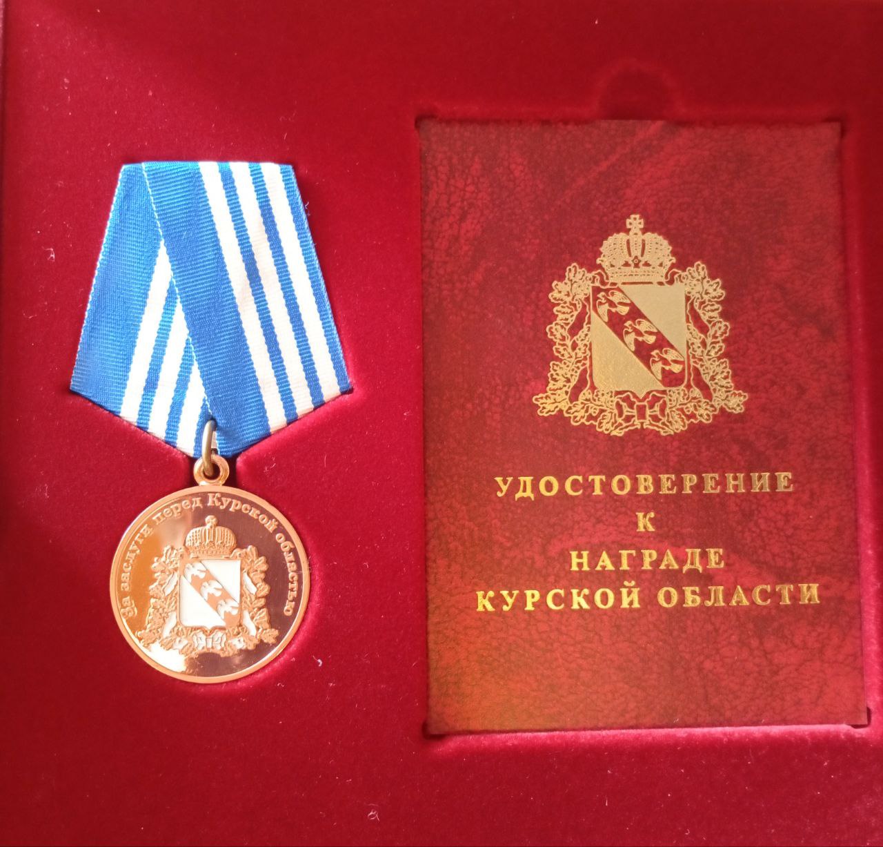 Анна Барановская награждена медалью «За заслуги перед Курской областью»